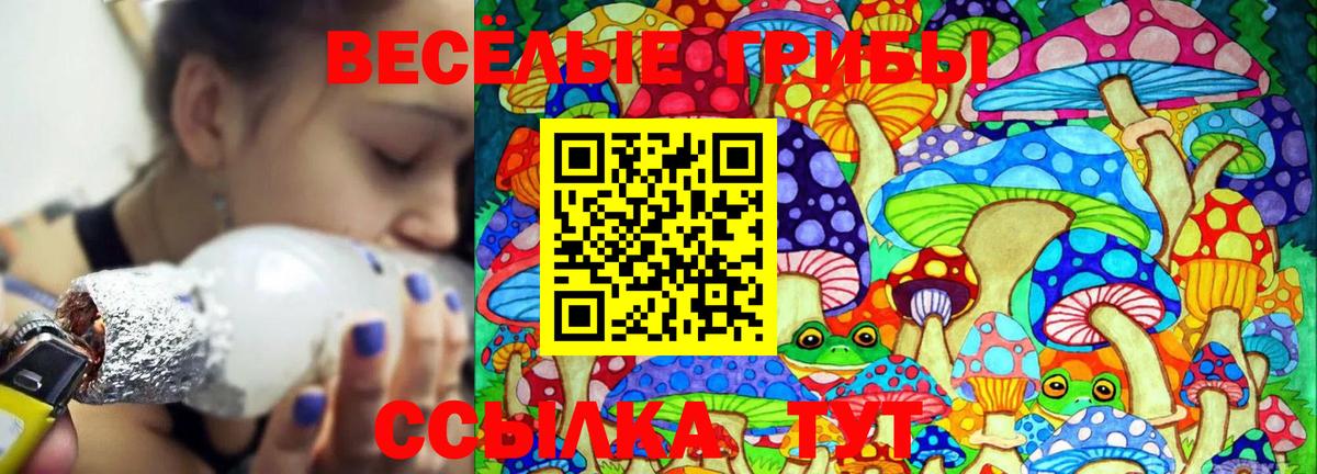 Псилоцибиновые грибы Magic Shrooms Ленинск-Кузнецкий